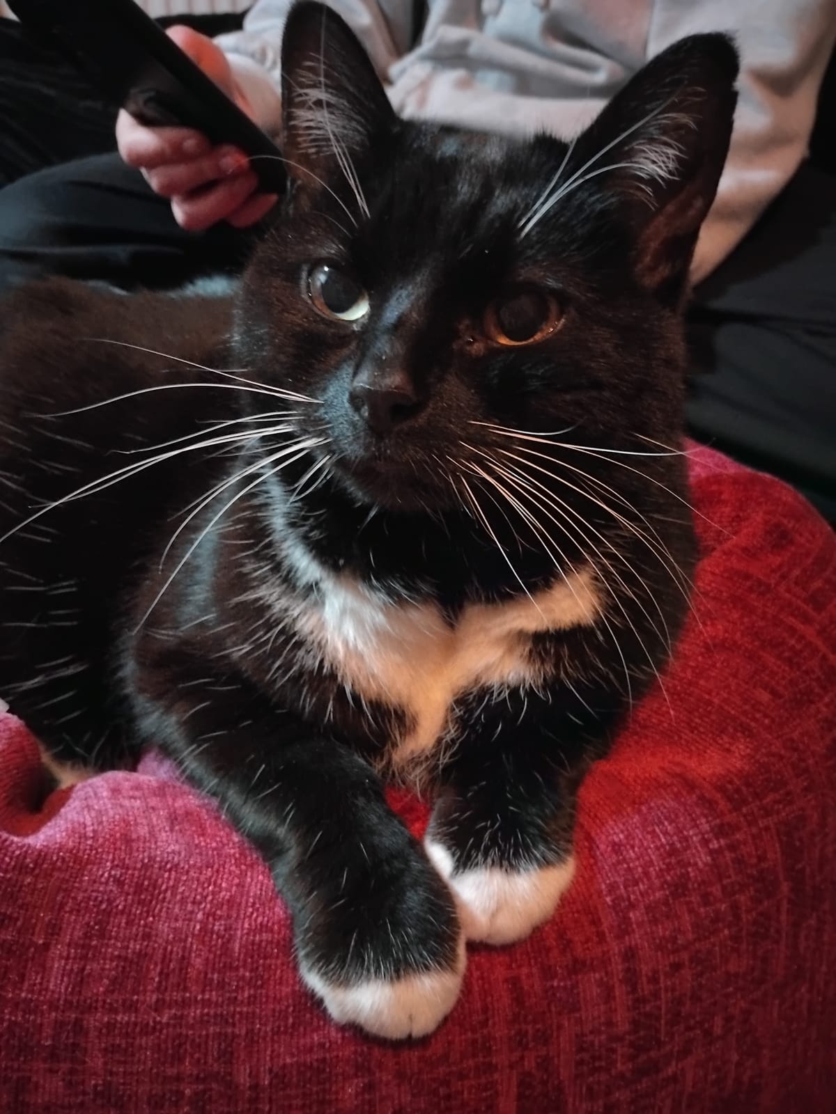 Ubiquitous End of Year Round-Up